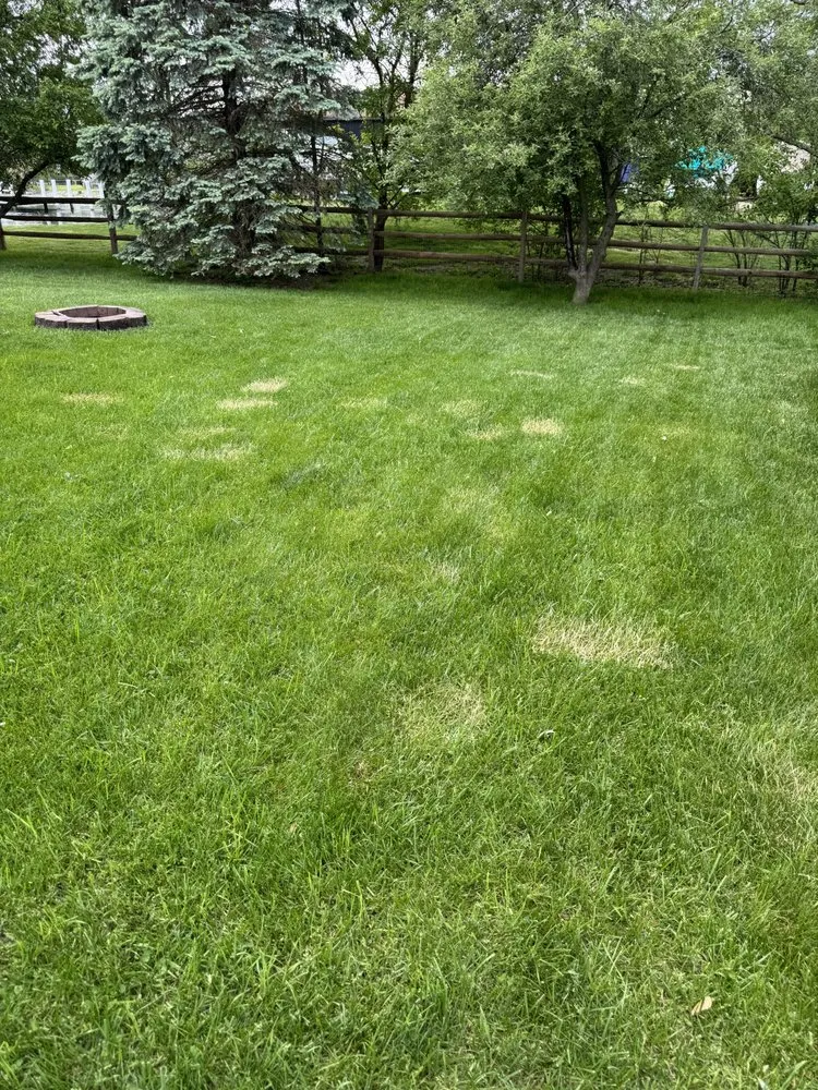 Slide of Freedom Roofing Windows and Siding