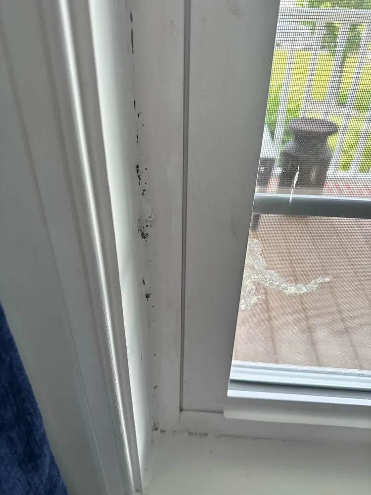 Slide of Freedom Roofing Windows and Siding