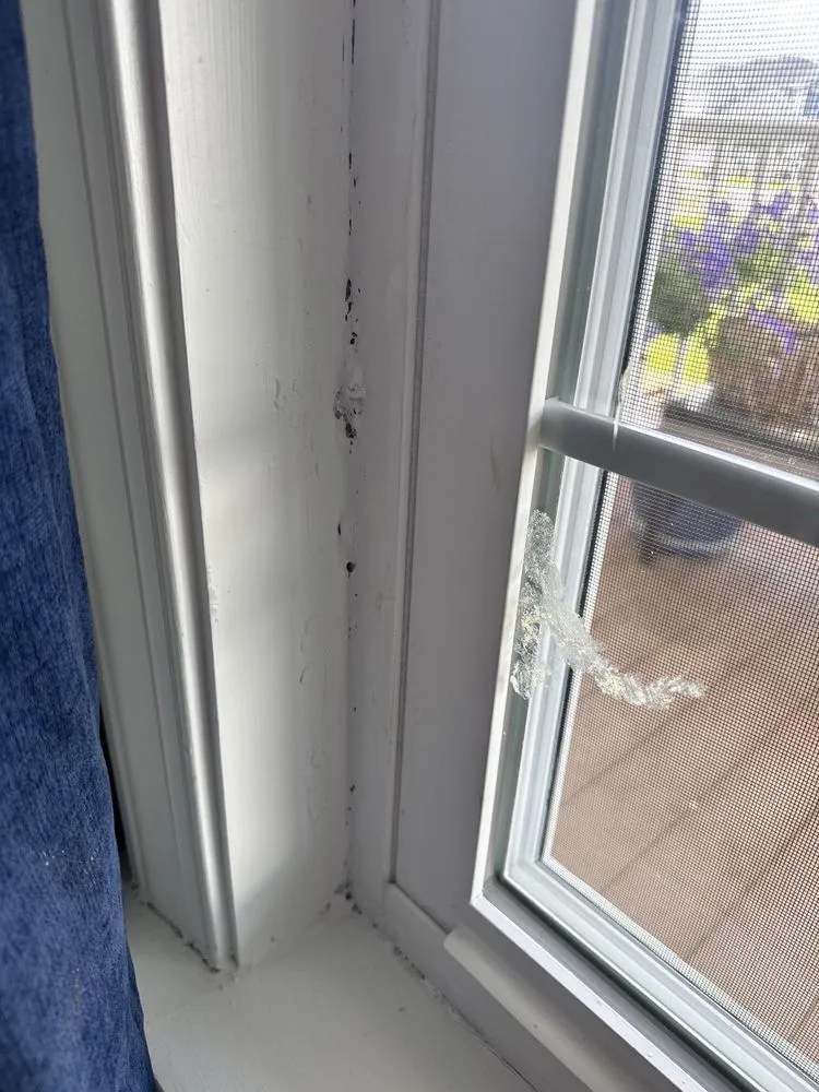 Slide of Freedom Roofing Windows and Siding