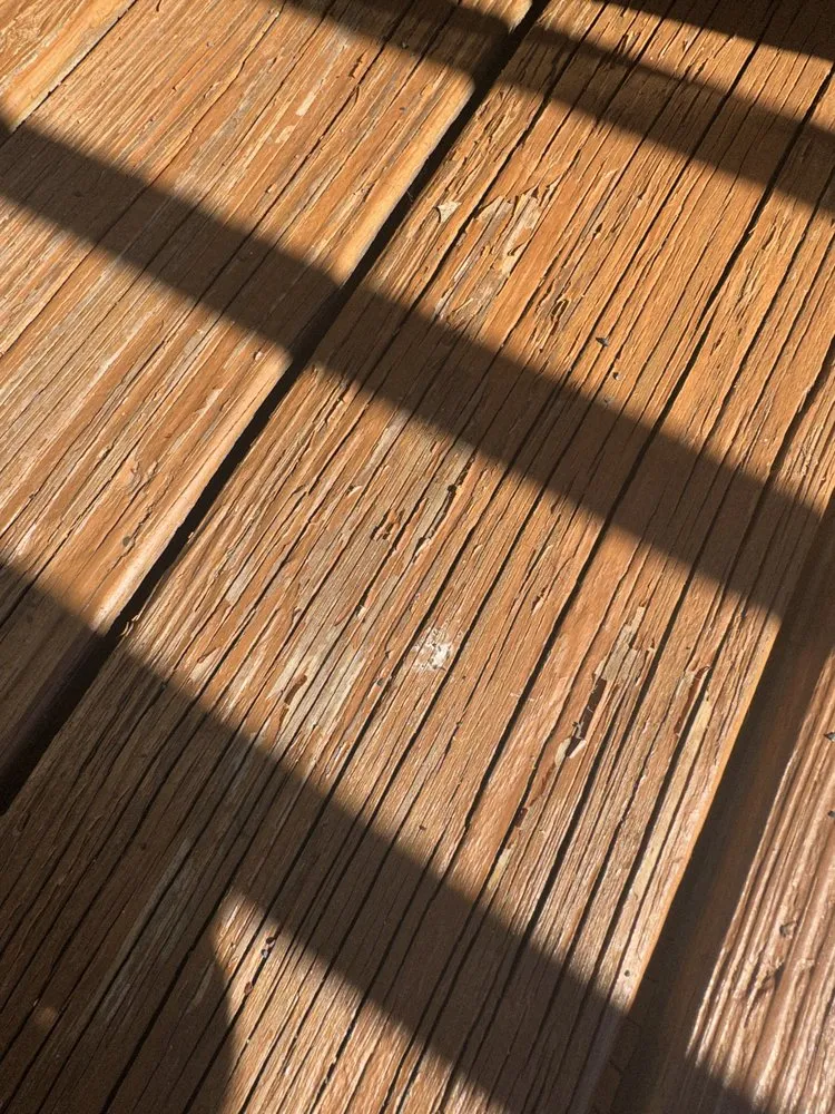 Slide of Freeland Painting