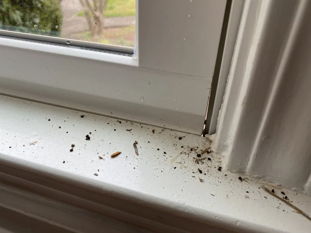 Slide of Freeland Painting