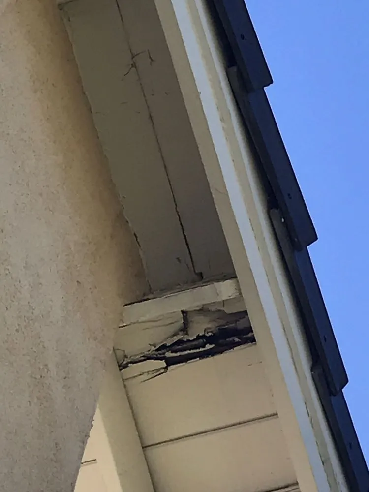 Slide of Freeman and Sons Roofing