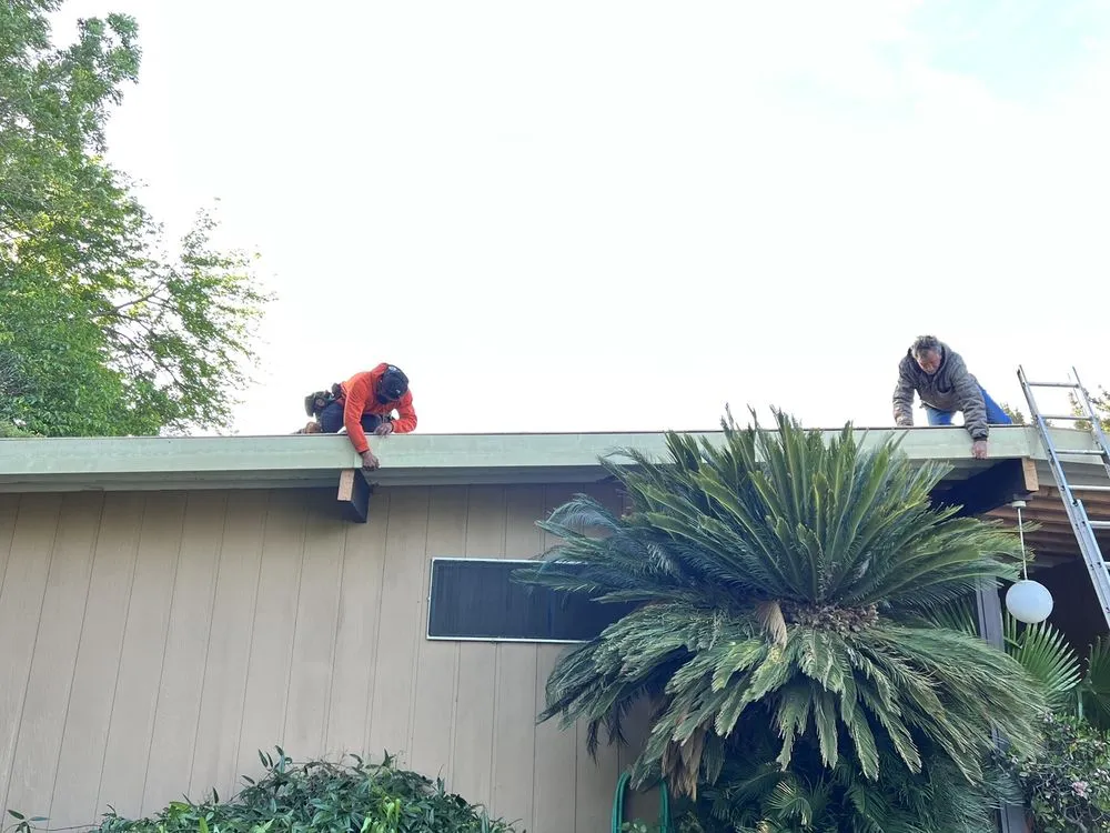 Slide of Freeman Roofing