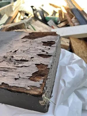 Freeman Roofing Logo