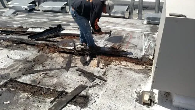 Slide of FreeRoofExam