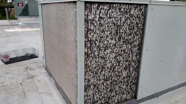 Slide of FreeRoofExam