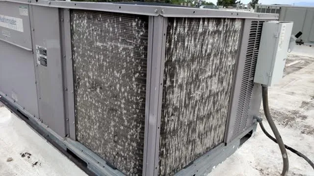 Slide of FreeRoofExam