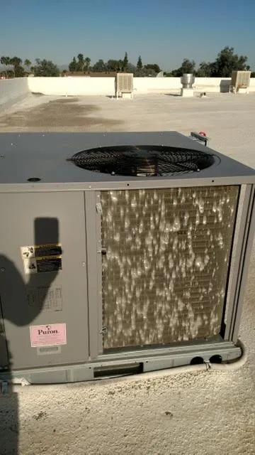 Slide of FreeRoofExam