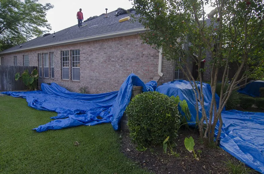 Slide of Freetail Roofing