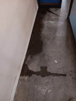 Fresh Home Solutions Logo