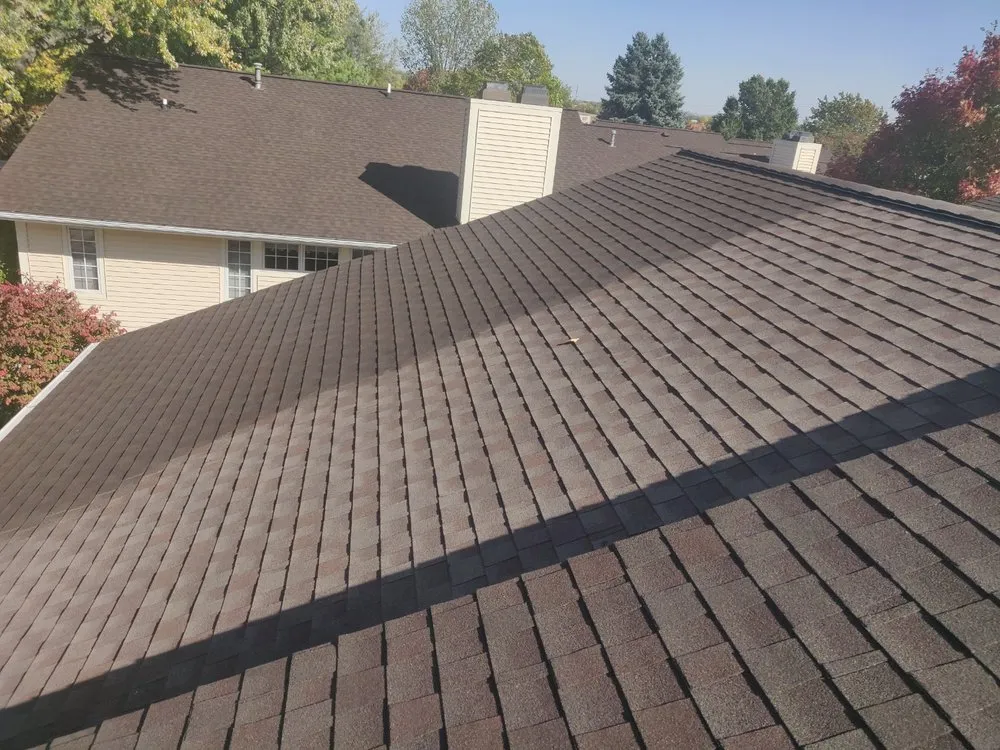 Slide of Fresh Roof