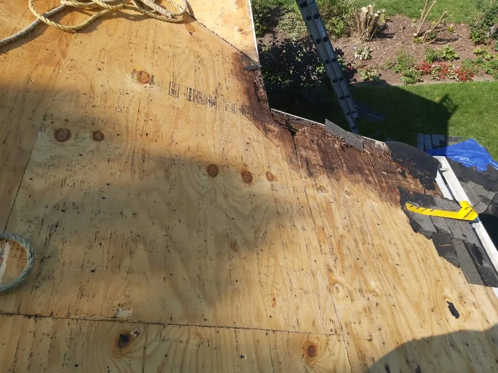 Slide of Fresh Start Roofers