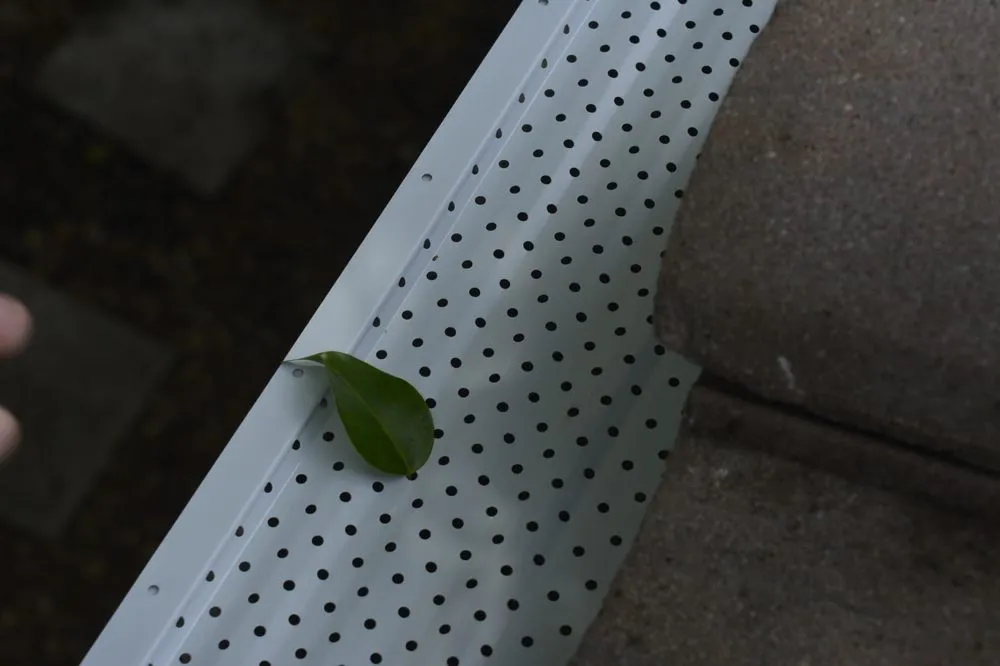 Slide of FreshGutters