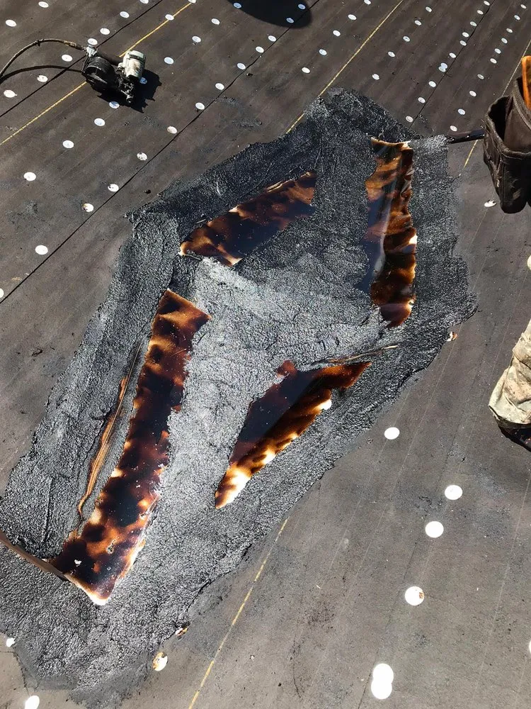 Slide of Friedel Development Group