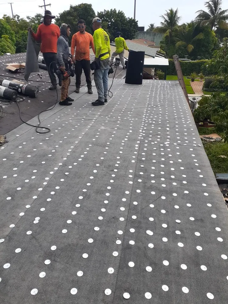 Slide of Friedel Development Group