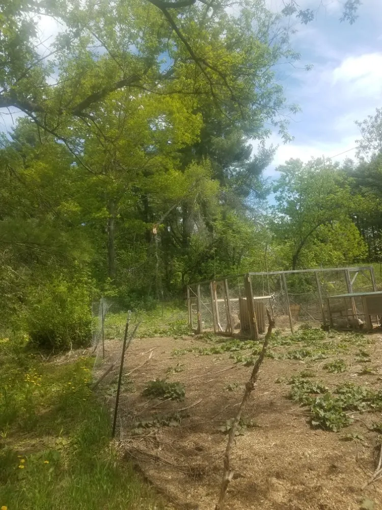 Slide of Friendly Odd Jobs