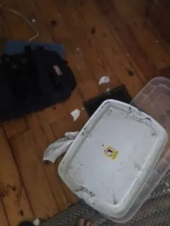 Slide of Frisby Construction