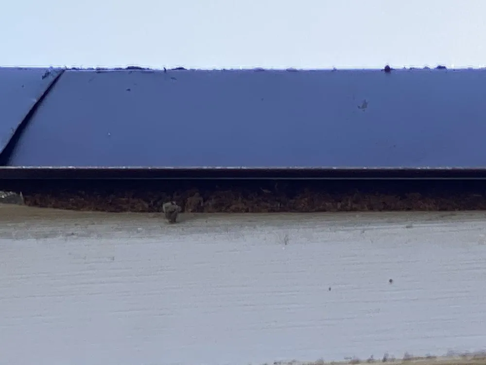 Slide of Frisby Construction