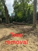 Slide of From the Grass To The Roof