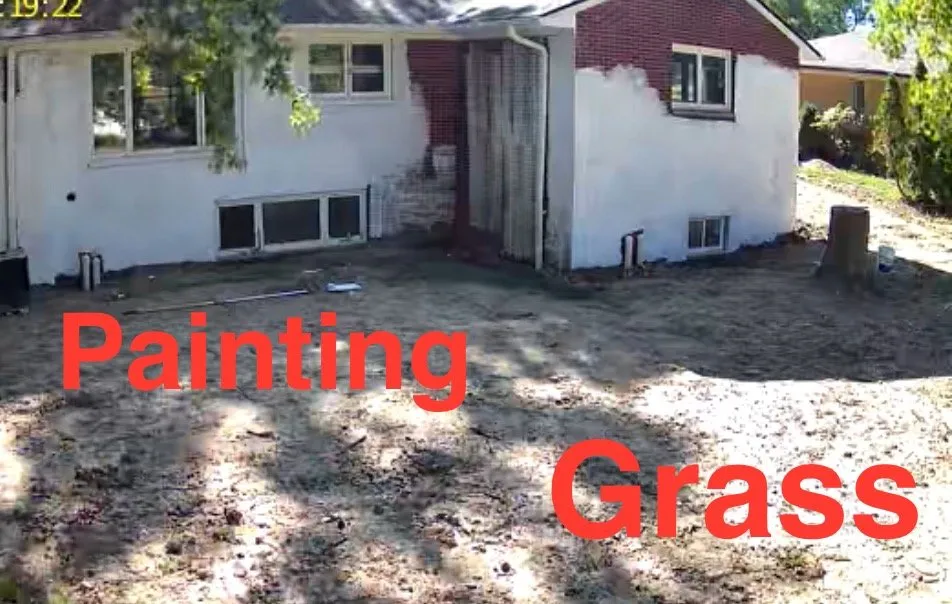 Slide of From the Grass To The Roof