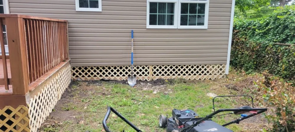 Slide of From the window to the wall