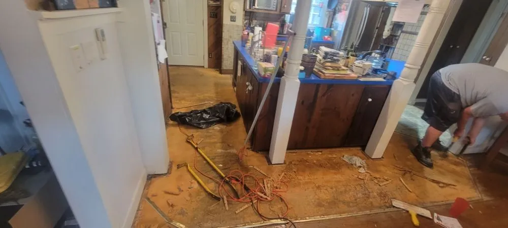 Slide of From the window to the wall