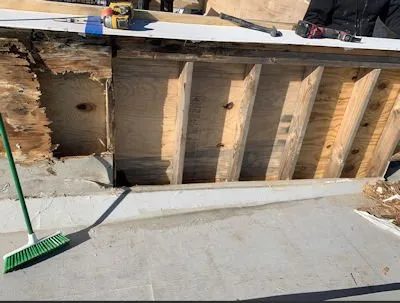 Slide of FSI Restorations