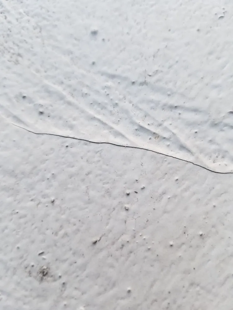 Slide of FSI Restorations