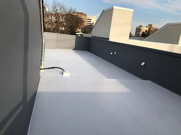 Slide of FSI Restorations