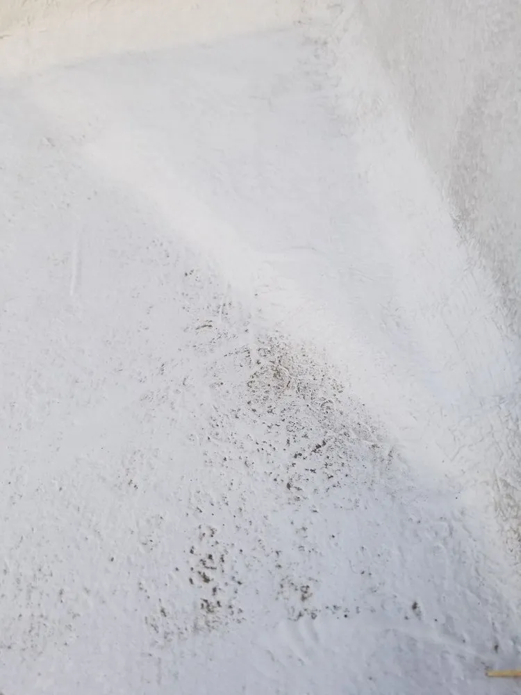 Slide of FSI Restorations