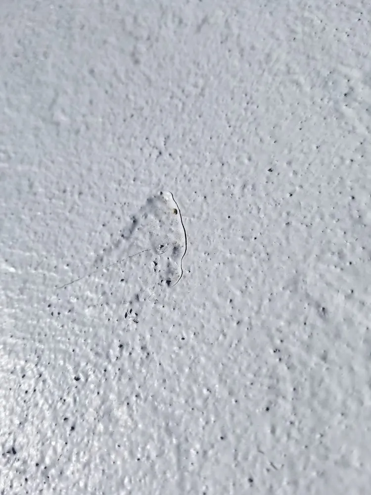 Slide of FSI Restorations