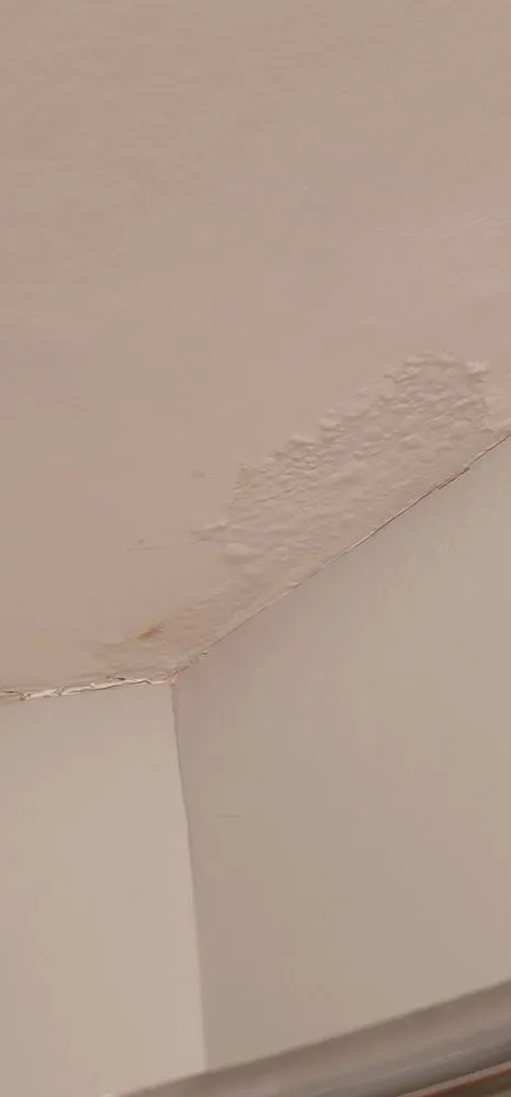 Slide of FSM contractors