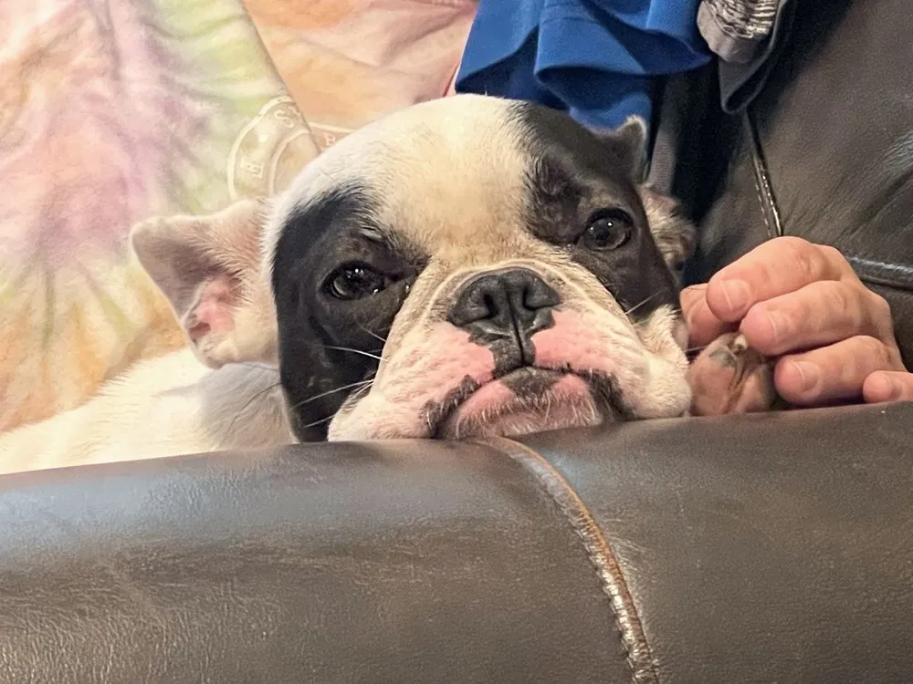 Slide of Fuller Roofing