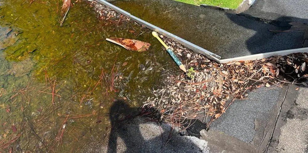 Slide of Fundora’s Brother’s