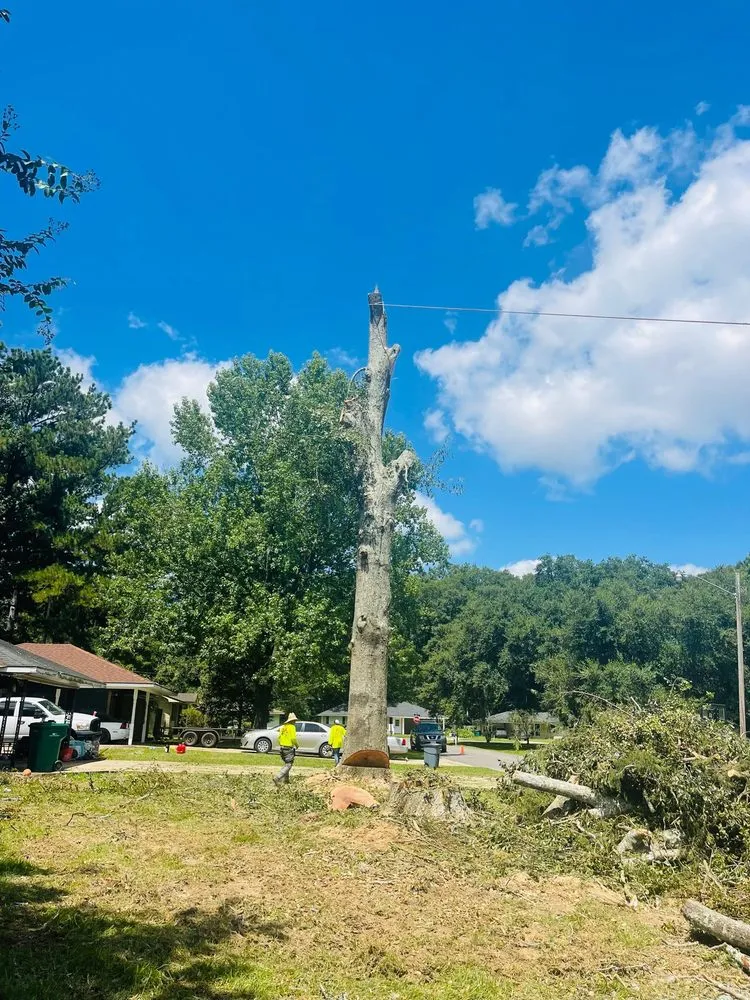 Slide of Funez Tree Service & More