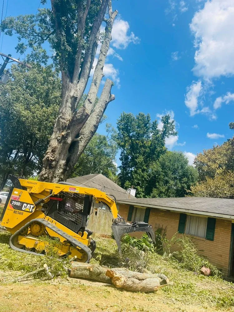 Slide of Funez Tree Service & More