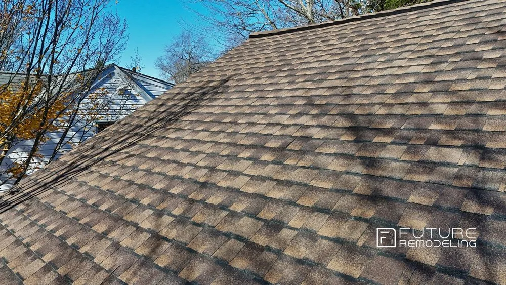 Slide of Future Remodeling