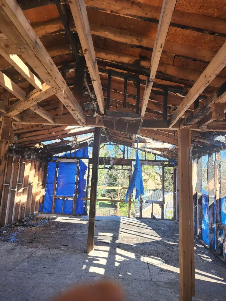 Slide of G & G Tree Expert