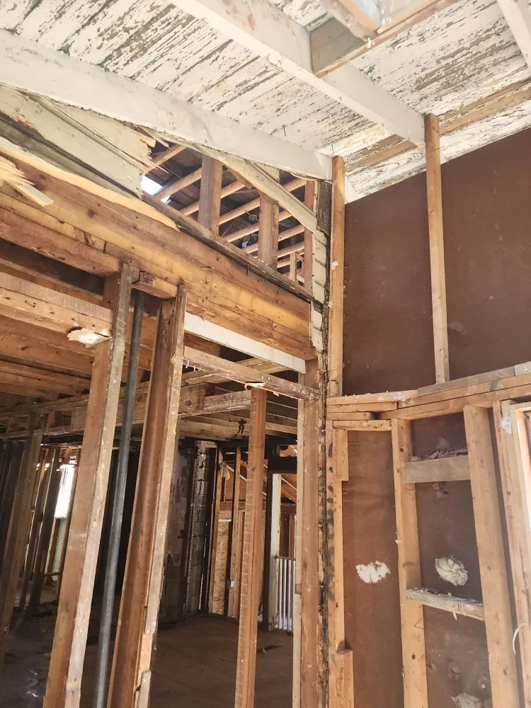 Slide of G & G Tree Expert