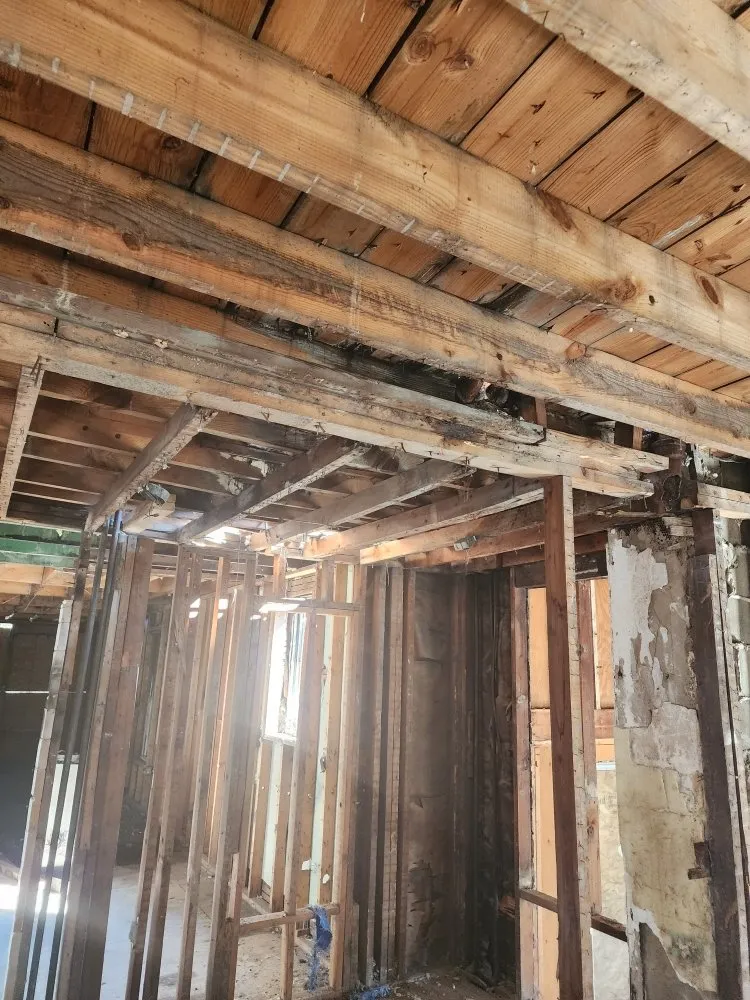 Slide of G & G Tree Expert