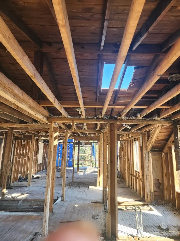 Slide of G & G Tree Expert