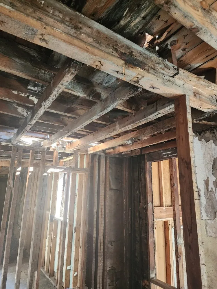 Slide of G & G Tree Expert