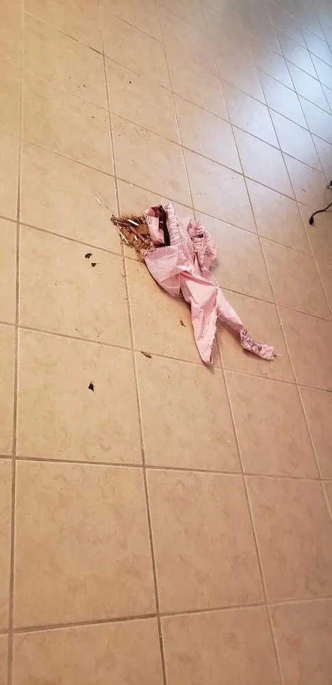 Slide of G & W Roofing