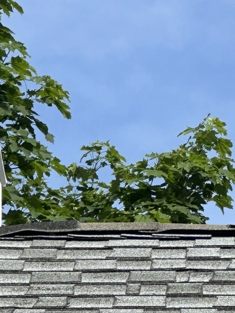 Slide of G Fedale Roofing and Siding