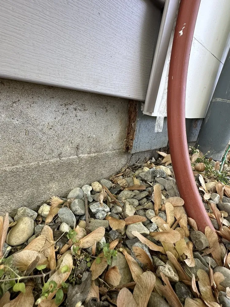 Slide of G Fedale Roofing and Siding