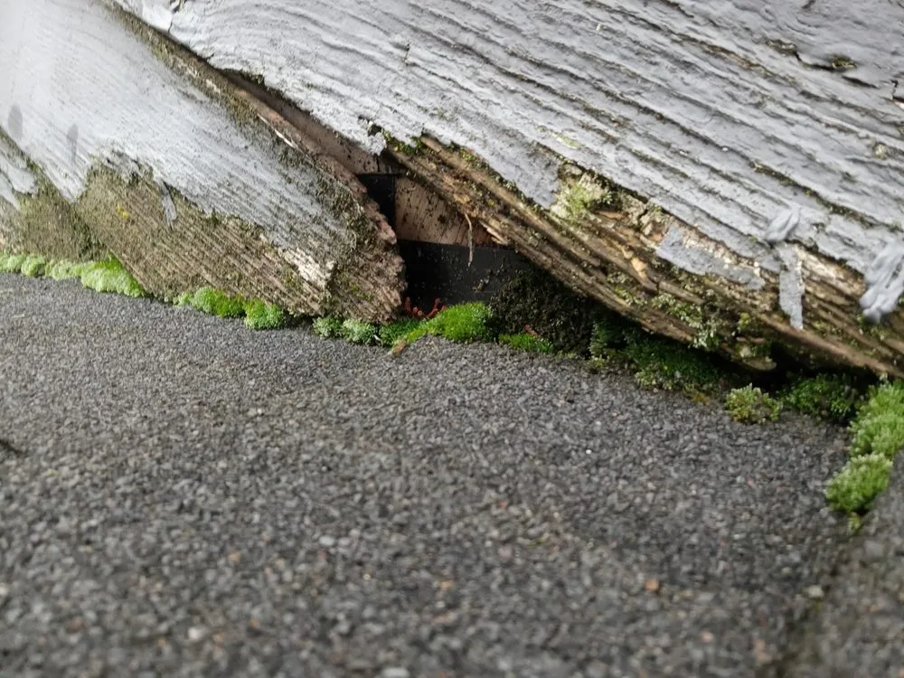 Slide of Gabriel Home Improvements