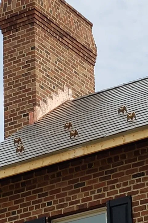 Reliable roof replacement in Boston, VA by Garrett Roofing and Construction