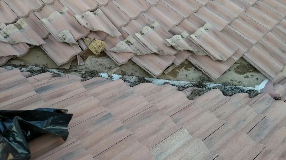 Slide of Gary and Son Roofing