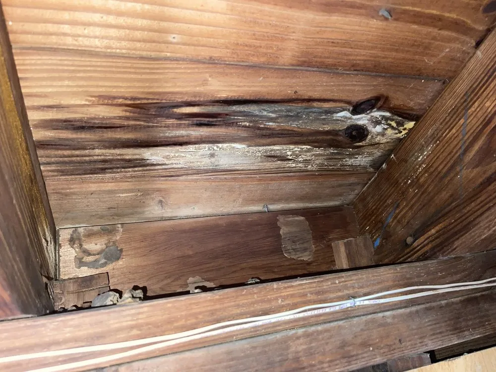 Slide of Gary Elo Roofing