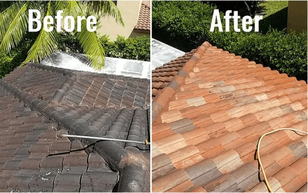 Slide of Gator Exterior Cleaning